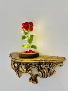 Le studio secret de la belle et la bete