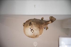 Aqua Vista Escape img52