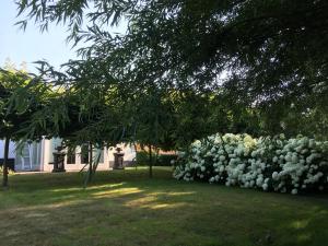 B&B de Tol