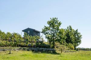 Tiny house nad vinicí