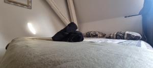 T1 rénové 24m2 Cosy Confort !