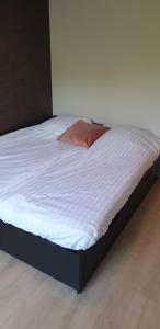 Lakefront 2 rooms city center