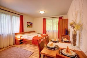 Large Studio Apartment with Extra Bed room in Apartmány Tri Studničky