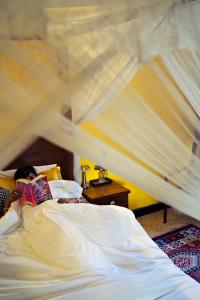 Black Cat Boutique Stay