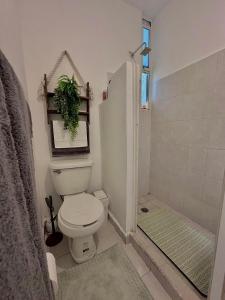 La Martina Your Tropical home in Playa del Carmen