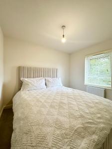 Charming 1 Bedroom with Private Bath