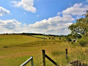 2 Bed in Brechfa 55903