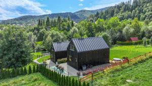 Domki Salamandra Lipowa