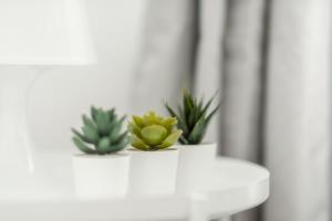 3BR Flat, Parking,WiFi, Near Metro Centre