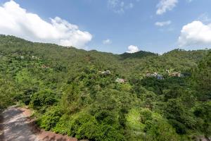 Spring Hills 4BD Kasauli glass attic Villa cook