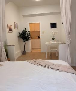 Comfortable studio 10 min from Midi Station and 15 min from Brussels center