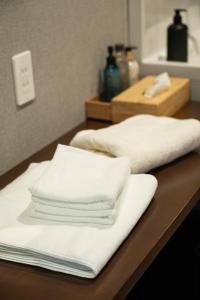 UNZIPPER KUMAMOTO - Private Sauna Stay -