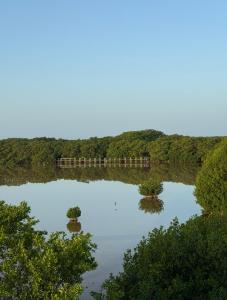 CASA DE PLAYA con PISCINA en SISAL SÚPER EQUIPADA