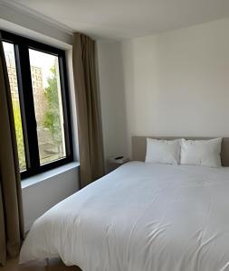 Montgomery Rooms & Suites