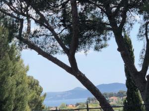 chambre dhôtes villa tigre LA CIOTAT Quartier résidentiel