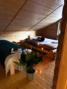 Ananda Space - номери в Ретритному центрі, біля Верховини