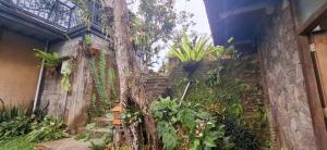 Kraras Munduk Guest House & DonBiyu Rendezvous Restaurant