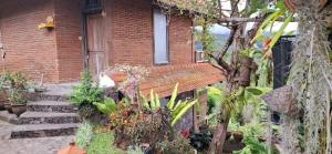 Kraras Munduk Guest House & DonBiyu Rendezvous Restaurant