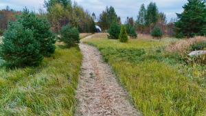 Dome & Sauna & River & BBQ