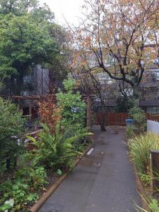 Departamento nuevo Pucón