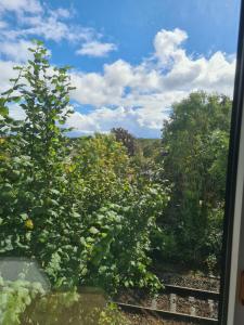 Large twin room at Fir Tree Lodge, Shirehampton