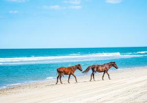 C9004 Seabatical - 4 BR Semi-Oceanfront, Pool & Hot Tub