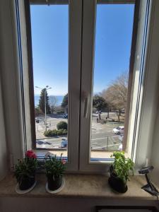 Lux Apartment with a Sea View