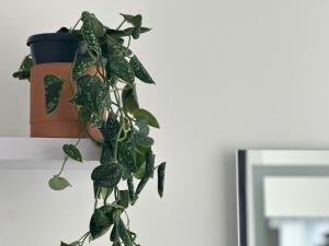 LE GAST - Lélégance au coeur de Paris