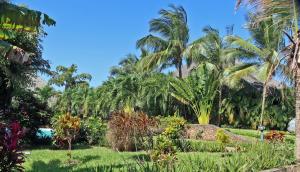 Sheba Cottages - Diani Beach