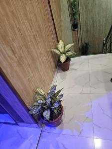 Four Fox Hotel --Near Anand Vihar Terminal