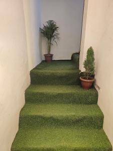 Four Fox Hotel --Near Anand Vihar Terminal