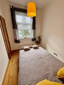 Apartment Dzelzavas 193