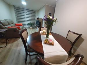 Dpto full equipado,dormitorio en suite en Valdivia