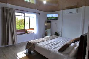 Volcano & Lake Arenal View Suite with Soaking tub