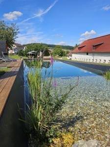 La Bohème Lodges and Glamping