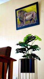 Tommys Furnished Apartment