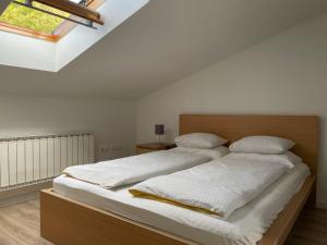 All Seasons Apartments Laško