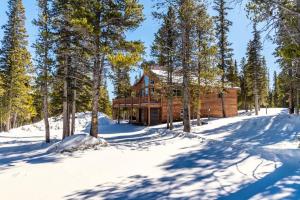 Forest View Cabin Near Breck and Keystone