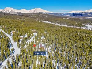 Forest View Cabin Near Breck and Keystone