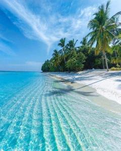 Equator Sandy Beach