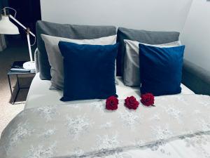 NICE VIEW centrum metro x2 WIFI 600 MBs Smart TV Panorama Miasta