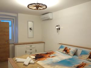 Apartmaji Pri fijakarju - Apartments 