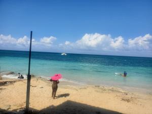 EVELINS on the Beach