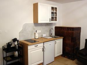 Apartmaji Pri fijakarju - Apartments "AT THE FIAKERS"