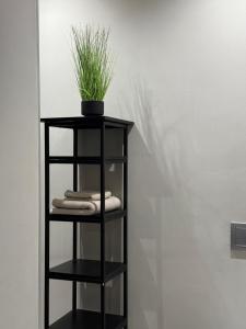 Luxury Apartment in sandton CBD