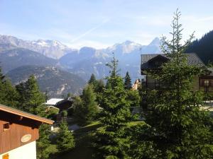 Les Chalets Darrondaz - Appartement 4 personnes 36 m² MAE-0833