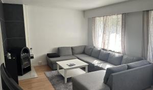 Koselig 3 roms leilighet på Rjukan