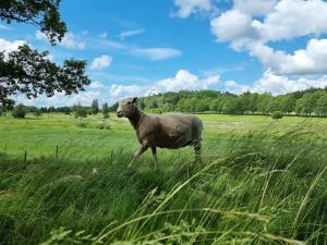 4 person holiday home in TORSHÄLLA-By Traum