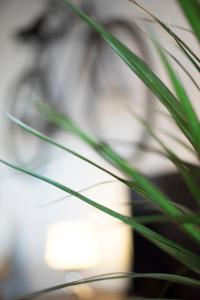 An apartment with a view - Nós place