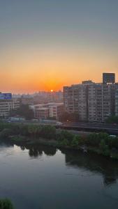 برج فاتن حمامه